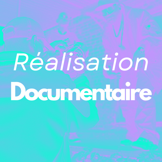 DOCUMENTAIRE ARTISTE — VENUS RECORDS